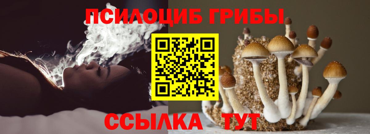 Галлюциногенные грибы Psilocybine cubensis  Вход с VPN  Гусь-Хрустальный 