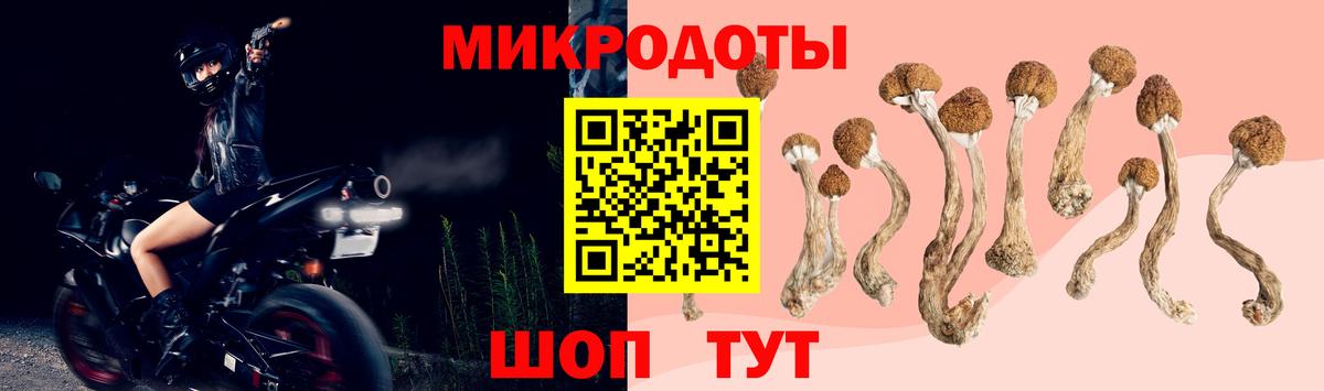 Галлюциногенные грибы MAGIC MUSHROOMS Гусь-Хрустальный